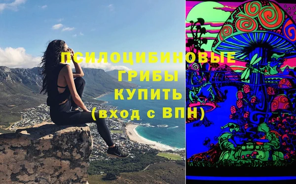 первитин Каменногорск