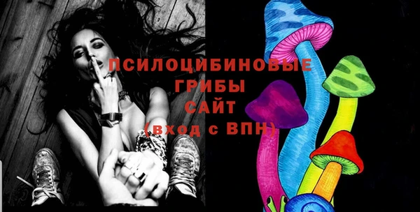первитин Каменногорск