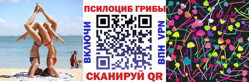 Псилоцибиновые грибы мицелий  Купить  Вышний Волочёк 